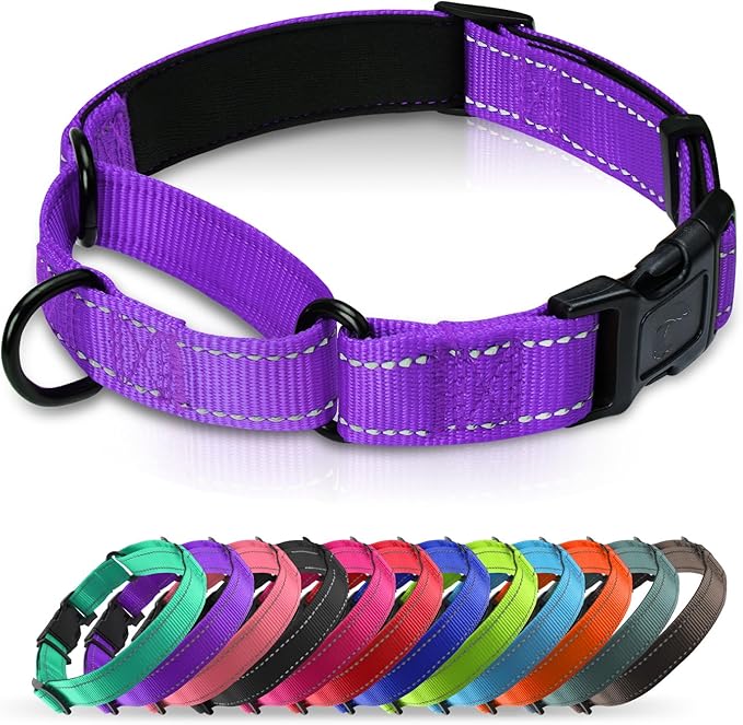 Martingale Collar for Dogs with Quick Release Buckle, Reflective Soft Padded & Escape Proof, Adjustable Nylon Dog Collars for Training & Daily Walking (Purple,S)