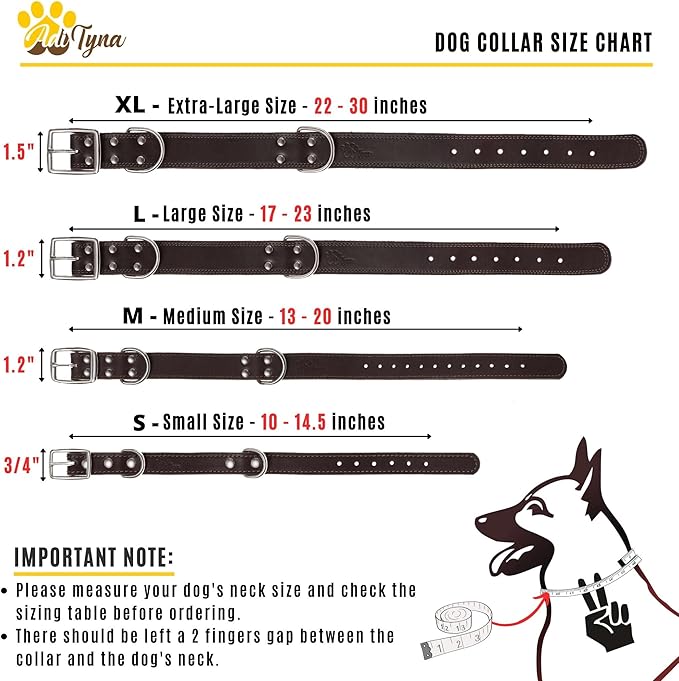 Heavy Duty Black Leather Dog Collar – Soft and Strong Dog Collar for Puppy or Small Breeds Like Cavalier and Miniature Schnauzer (Small: Fit 10" - 14.5" Neck, Black)