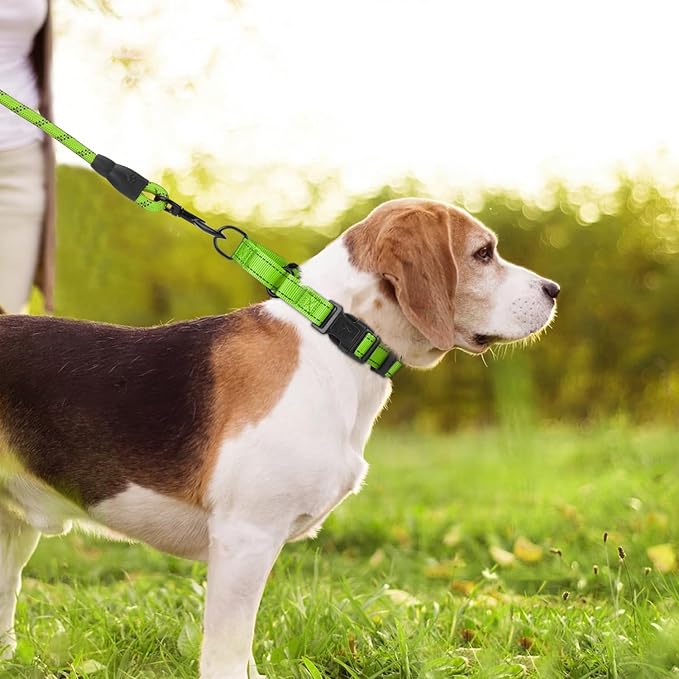 Martingale Collar for Dogs with Quick Release Buckle, Reflective Soft Padded & Escape Proof, Adjustable Nylon Dog Collars for Training & Daily Walking (Green,XS)