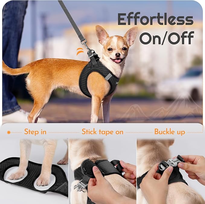 Eagloo Small Dog Harness and Leash Set, Step in Puppy Vest with Breathable Soft Mesh, Walking Reflective Pet Harness for Small Dogs, Black, S