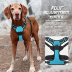BARKBAY No Pull Dog Harness Front Clip Heavy Duty Reflective Easy Control Handle for Large Dog Walking(Blue,M)