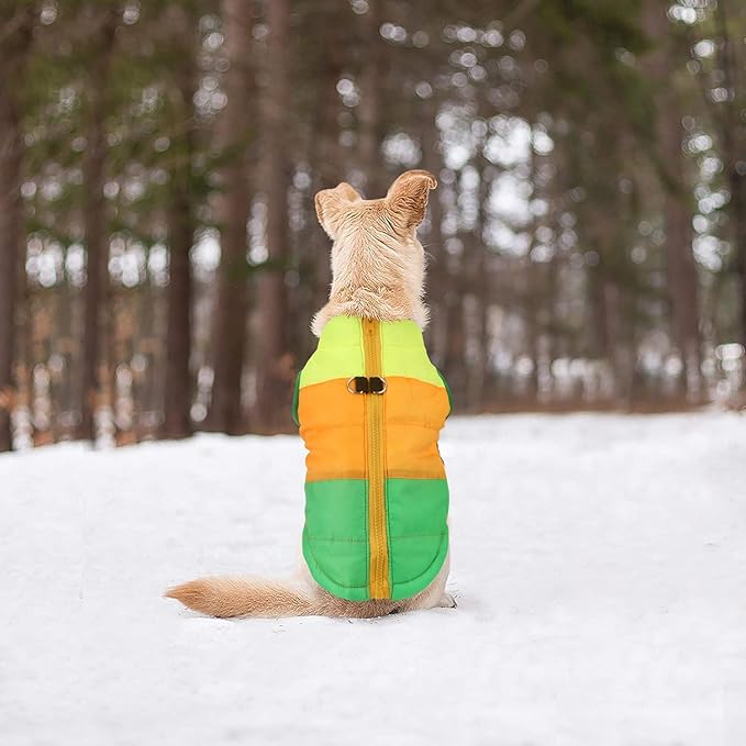 Idepet Pet Dog Cat Coat with Leash Anchor Color Patchwork Padded Puppy Vest Jacket Teddy Chihuahua Costumes Pug Cloth XS S M L(XX-Large,Green)