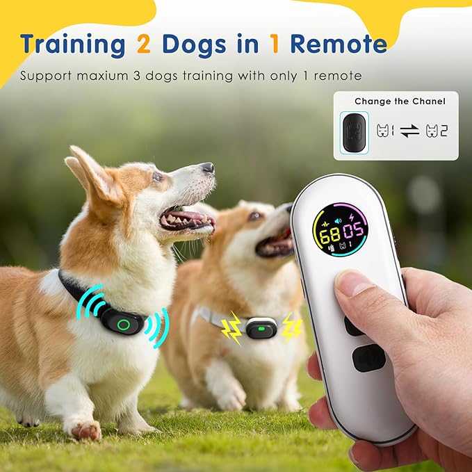 Lychee Training Collar for Two Dogs，One Large(10-120lbs) and One Small (5-50lbs) Sport Dog Correction Shock Collar for Training with 1300FT Remote Control, IPX7 Waterproof and Rechargeable