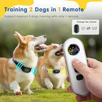 Lychee Training Collar for Two Dogs，One Large(10-120lbs) and One Small (5-50lbs) Sport Dog Correction Shock Collar for Training with 1300FT Remote Control, IPX7 Waterproof and Rechargeable