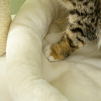PawHut Cat Tree, 3 Level Cat Tower with Scratching Posts, Bed, Condo, Badminton Toys, for Multiple Kittens