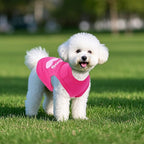 4 Pack Dog Shirts Summer Printed Puppy Clothes Cute Sleeveless Pet T Shirts Dog Clothes for Small Medium Dogs Cats Girl(S)