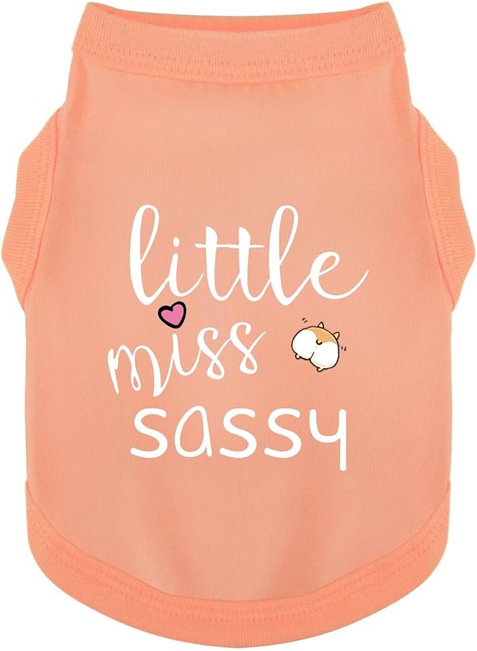 Paiaite Dog Clothes Fashionable Sleeveless Pet Vest: 'Little Miss Sassy' Printed Cotton Dog Shirt, Ideal for Small, Medium, and Large Breeds, Ensuring Comfort and Breathability Orange Pink XL