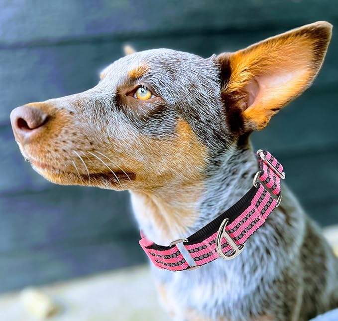 Martingale Collar for Dogs -Reflective Nylon Heavy Duty No Slip Choke Dog Collar with Padded Comfort Quick Release Buckle for Training, Walking & Overexcited Pulling Pink M