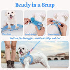 rabbitgoo Dog Harness Small Sized and Leash Set, Step in Soft Light Puppy Vest, Breathable Mesh Pet Harness, Reflective for Safe Easy Walking, Blue & Plaid Trim M