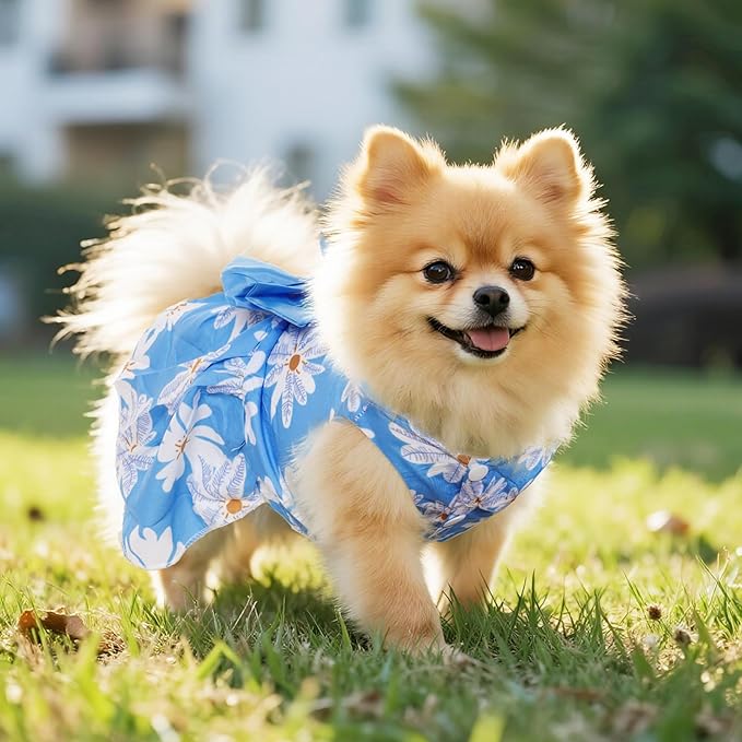 5 Pcs Dog Dresses Floral Puppy Cat Pet Dresses Dog Bowknot Dresses for Small Dogs Girls Puppy Summer Floral Skirts Outfits Cute Princess Pet Dress for Female Yorkie Cats Dogs Pets