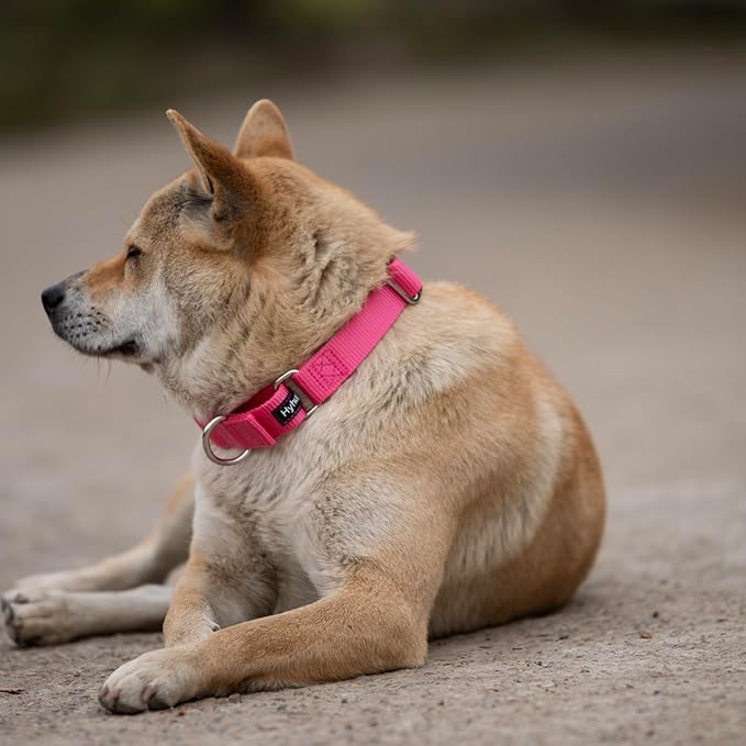Hyhug Martingale Dog Collar Medium Pink |Escape - Proof Heavy Duty Nylon Durable No Slip, Ideal for Training & Daily Walks