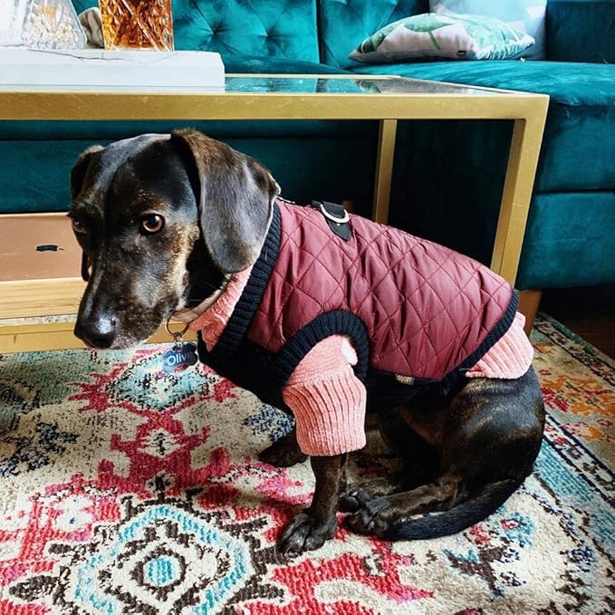 Gooby Fashion Vest Dog Jacket - Purple, Large - Warm Zip Up Dog Bomber Vest with Dual D Ring Leash Water Resistant for Small to Medium Dogs