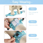 Dog Harness for Small Dogs and Leash Set, Honeycomb Grid, Reflective Lightweight Harness & Anti-Twist Pet Lead Multi Color, Size: XS-S-M. (M, Sky Blue)