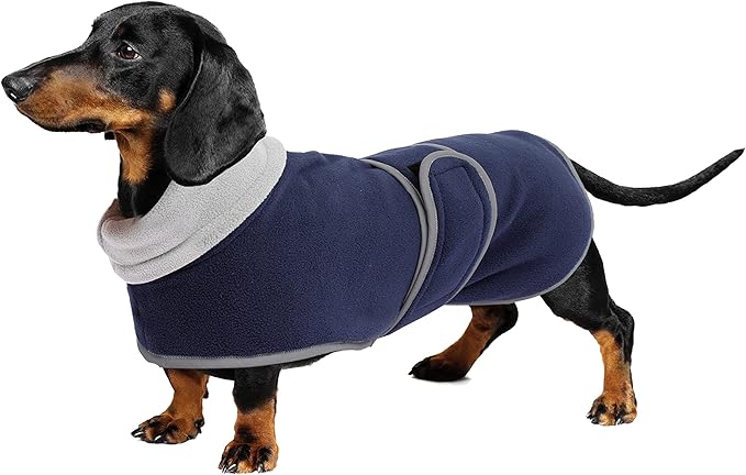 Geyecete Dachshund Winter Coat, Dog Jacket, Navy, X-Small, Waterproof, Padded Fleece Lining, Reflective Piping, Lead Slot