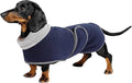 Geyecete Dachshund Winter Coat, Dog Jacket, Navy, X-Small, Waterproof, Padded Fleece Lining, Reflective Piping, Lead Slot