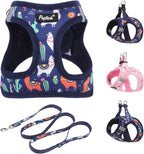 PUPTECK Dog Harness and Leash Set for Small Medium Dogs No Pull Step-in Soft Mesh Puppy Cat Vest Harnesses Reflective at Night, NavyBlue Print, S