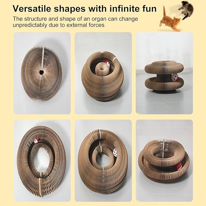 3PCS Kitty Curls Cat Toy,Magic Organ Cat Toy,Cat Scratcher for Grinding Claw Cardboard Cat Toys,Interactive Scratch Pad with Toy Ball