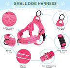 Lukovee No Pull Dog Harness and Leash Set, Soft Padded Small Dog Harness, Neck & Chest Adjustable Reflective Vest Puppy Harness with 4ft Lightweight Anti-Twist Dog Leash for Small Dogs (XXS, Pink)