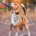 My Parents are Getting Married Dog Bandana Engagement Gifts for Couples Wedding Engagement Bandana Announcement Photo Prop Pet Scarf Accessories for Pet Dog Lovers Gifts