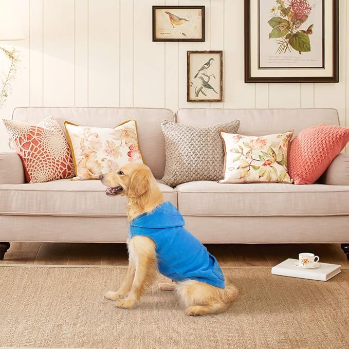EXPAWLORER Dog Hoodie Fleece Sweater Vest, Hooded Dog Sweatshirt Fall Winter Pet Clothes with Leash Hole, Sleeveless Warm Cozy Puppy Clothing for Cat Small Medium Large Dogs Girl Boy, Blue XXL