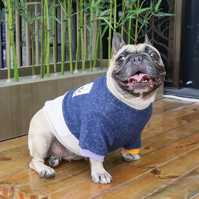 iChoue Pet Dog Crewneck Sweater Color Block Pullover Winter Warm Clothes for English Bulldog Bully Pitbull - Navy and Beige/XLarge