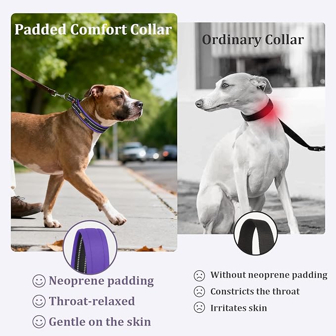Mayerzon 1.5" Wide Martingale Collar for Large Medium Small Dogs Pitbull German Shepherd, No Pull Reflective Slip Martingale Dog Collar with Buckle Soft Padded for Walking Training(Purple,XL)