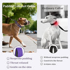 Mayerzon 1.5" Wide Martingale Collar for Large Medium Small Dogs Pitbull German Shepherd, No Pull Reflective Slip Martingale Dog Collar with Buckle Soft Padded for Walking Training(Purple,XL)