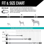 Wolfgang Heavy Duty, Adjustable Dog Collar with Quick Release Nylon Buckle for Walking & Training, BuenaOnda Print, Large