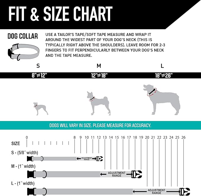 Wolfgang Heavy Duty, Adjustable Dog Collar with Quick Release Nylon Buckle for Walking & Training, BuenaOnda Print, Medium