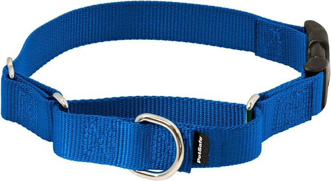 PetSafe Adjustable Martingale Collar - Improves Leash Manners - Escape Prevention - Gentle Behavior Training - Durable Nylon - Alternative to Choke Collar - Medium 1" - Royal Blue