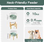 Ceramic 0.9 Cup Raised Dog Slow Feeder Set, Elevated Bowl with Wooden Stand for Small Dog and Cat, 6.1inch Puzzle Slow Dog Food Dish, Anti-Gulping(Light Green, Single Bowl+ Stand)