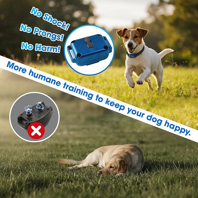 2 Pack No Shock Dog Training Collar with 2000ft Remote, 2 Vibrating Dog Collars, Vibration Collar for Small Dogs 5-15lbs & Medium Large Dogs, Safe Lock, Beep, Vibrate, No Prongs, Waterproof