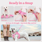 rabbitgoo Dog Harness Small Sized and Leash Set, Step in Soft Light Puppy Vest, Breathable Mesh Pet Harness, Reflective for Safe Easy Walking, Light Pink M