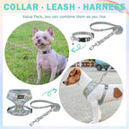 SCENEREAL Small Dog Harness Collar and Leash Set, Adjustable No Pull Pet Harnesses, No Chock Soft Mesh Vest for Doggie Puppy Medium Dogs Cats Girl or Boy,Chihuahua, Yorkie, Outdoor Walking