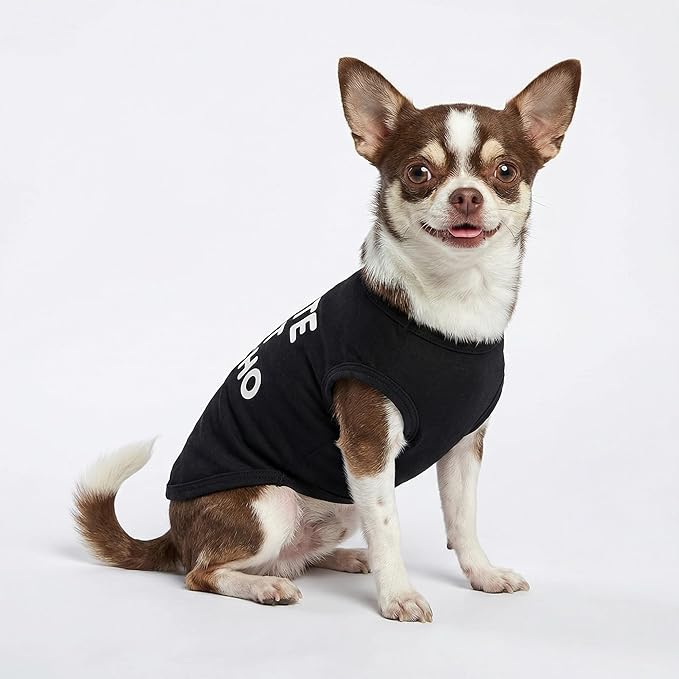 Fitwarm Cute But Psycho Dog Shirt, Summer Clothes for Small Dogs Boy Girl, Funny Pet Outfit, Black, White, XXL
