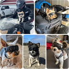 Dog Sunglasses for Extra Small Breed UV Protection Windproof XS Dog Goggles with Adjustable Head & Chin Straps for Ride Car/Hiking Travel/On Beach-Black