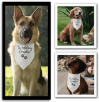 Wedding Crasher Dog Bandana Engagement Gifts for Couples Wedding Engagement Announcement Photo Prop Pet Scarf Accessories for Pet Dog Lovers Gifts