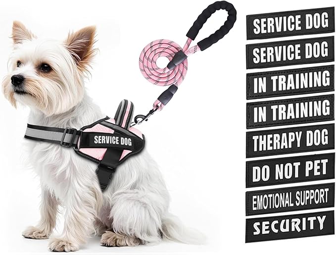 Service Dog Vest Harness and Leash Set, Animire in Training Dog Harness with 10 Dog Patches, Reflective Dog Leash with Soft Padded Handle for Small, Medium, Large, and Extra-Large Dogs