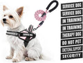 Service Dog Vest Harness and Leash Set, Animire in Training Dog Harness with 10 Dog Patches, Reflective Dog Leash with Soft Padded Handle for Small, Medium, Large, and Extra-Large Dogs
