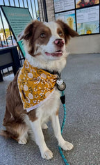 Lionet Paws Flower Dog Bandana,Fabric Yellow Dogs Kerchief for Small Medium Dogs,Dog Cotton Triangle Bibs Scarf for Girl Boy