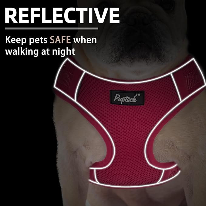 PUPTECK Small Dog Harness and Leash Set, No Pull Adjustable Puppy Cat Harness, Reflective Soft Mesh Pet Vest Small Sized, Fuchsia, S