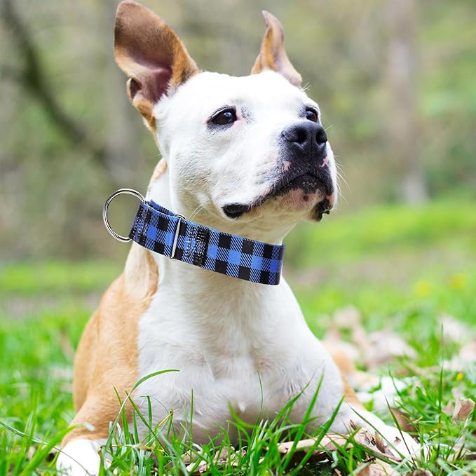 Wide Martingale Collar for Dogs Large Medium Extra Large with Blue Plaid Design, No Pull Choke Cinch Escape Proof Training Collar -Plaid M