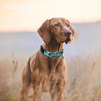 Reflective Martingale Collar with Buckle Adjustable Nylon Training Pet Collars for Extra Small Dogs (Turquoise Shell, XS)