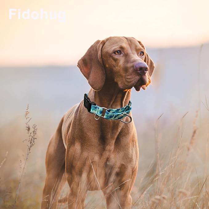 Reflective Martingale Collar with Buckle Adjustable Nylon Training Pet Collars for Small Dogs (Turquoise Shell, S)