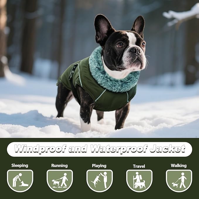 DENTRUN Winter Warm Dog Coat Reflective Jacket with Turtleneck for Cold Weather, Adjustable Buckle Windproof Water Repellent, Thick Snowsuit Fleece Vest for Small, Medium, Large Dogs, Green, M