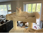 CozyCatFurniture Cat Tree for Maine Coon Cats with Big Perch on Top, Luxury 69in Cat Condo King with Two Large Hammocks, XXL Heavy Duty Cat Tower