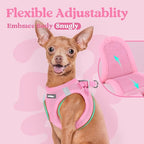 rabbitgoo Small Dog Harness, Step-in Soft Mesh Puppy Vest with Safety Buckle, Breathable Reflective Pet Harness for Large Dogs, Light Pink XXL