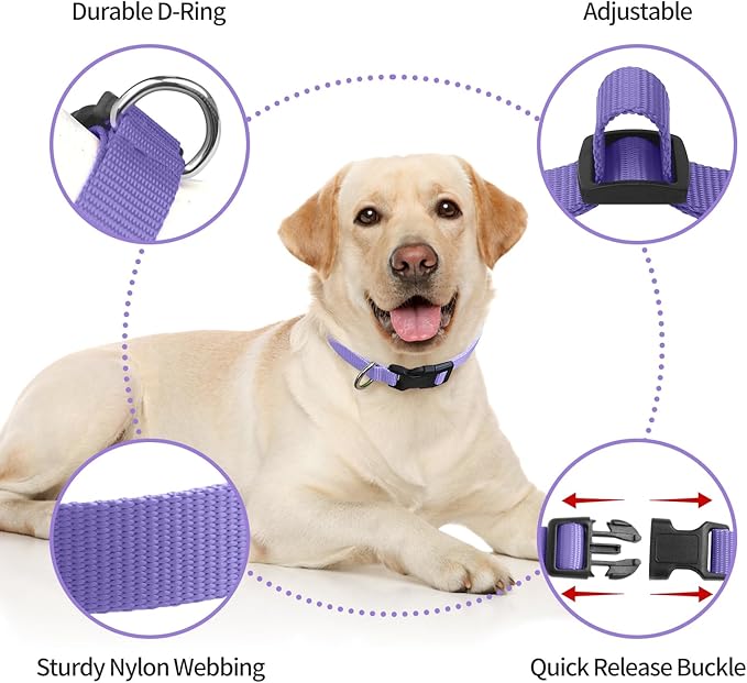 Ecollar Replacement Strap, Nylon 3/4" Replacement Collar for Shock Collar with Quick Release Buckle, Adjustable Shock Collar Replacement Strap for Small Medium Large Dogs (Purple & Yellow)