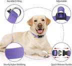 Ecollar Replacement Strap, Nylon 3/4" Replacement Collar for Shock Collar with Quick Release Buckle, Adjustable Shock Collar Replacement Strap for Small Medium Large Dogs (Purple & Yellow)