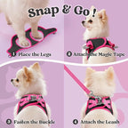 rabbitgoo Dog Harness Small Sized and Leash Set, Step-in Breathable Pet Harness, Soft Walking Reflective Puppy Vest for Small Dogs, Black & Rose Red, M